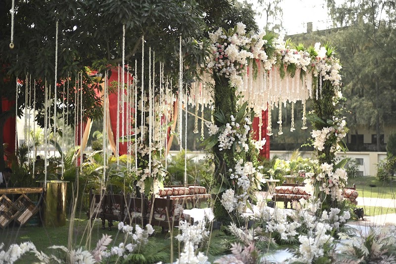 The Dreamers Trail & Co.